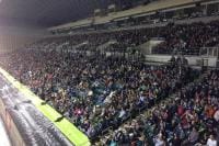 crowd